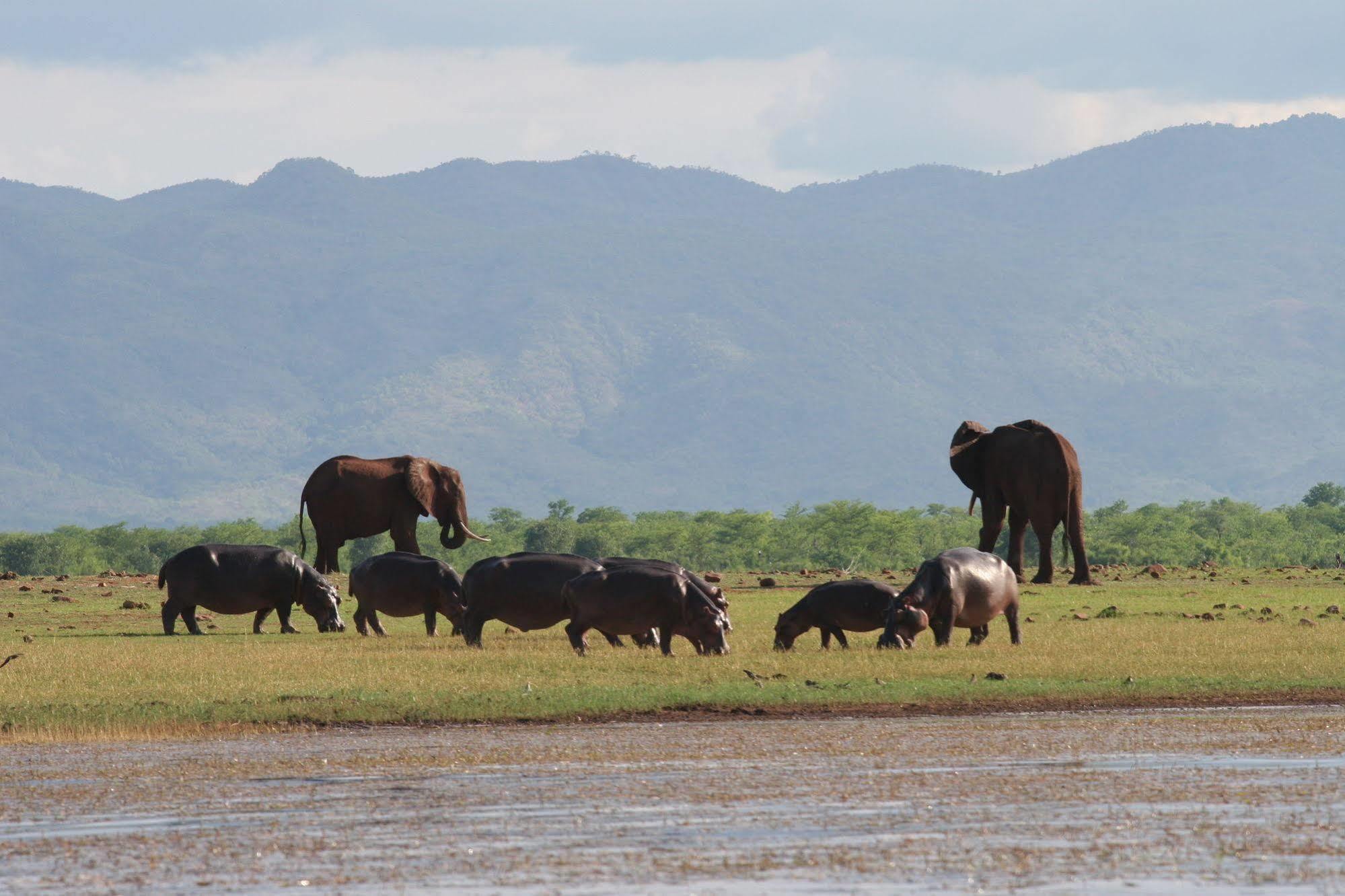 Changa Safari Camp Matusadona National Park Exterior photo